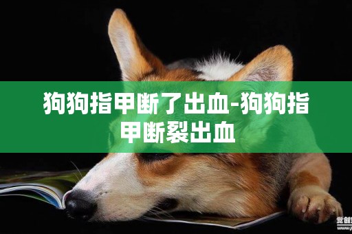狗狗指甲斷了出血-狗狗指甲斷裂出血