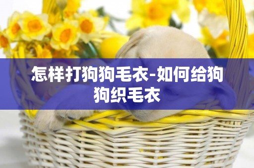 怎樣打狗狗毛衣-如何給狗狗織毛衣