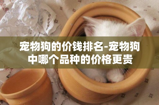 寵物狗的價錢排名-寵物狗中哪個品種的價格更貴