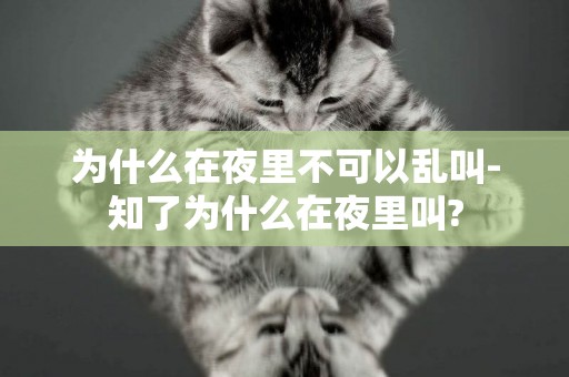 為什么在夜里不可以亂叫-知了為什么在夜里叫?