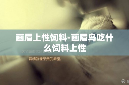 畫眉上性飼料-畫眉鳥吃什么飼料上性