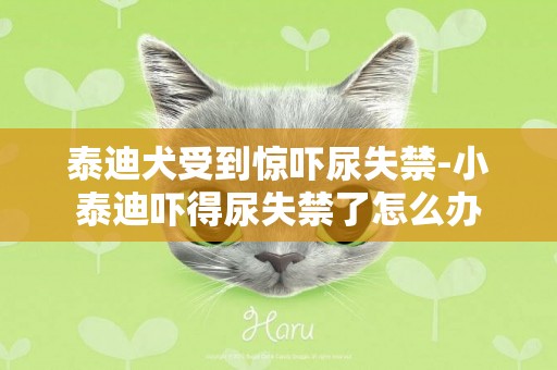 泰迪犬受到驚嚇尿失禁-小泰迪嚇得尿失禁了怎么辦