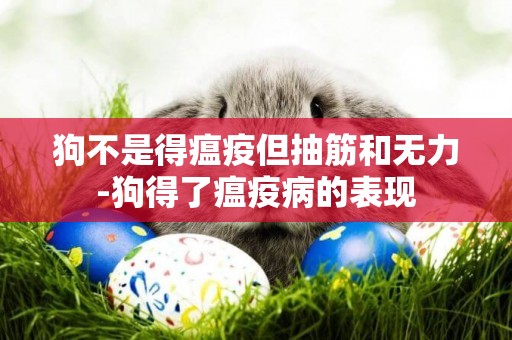 狗不是得瘟疫但抽筋和無力-狗得了瘟疫病的表現