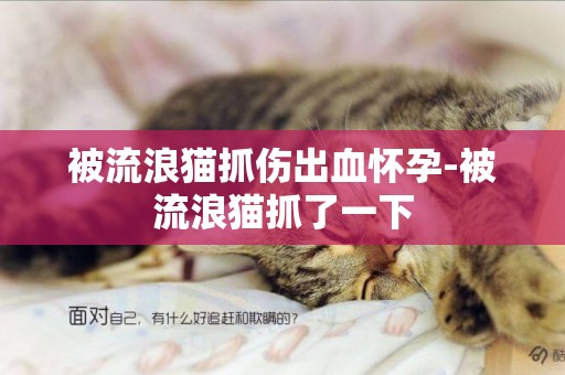 被流浪貓抓傷出血懷孕-被流浪貓抓了一下