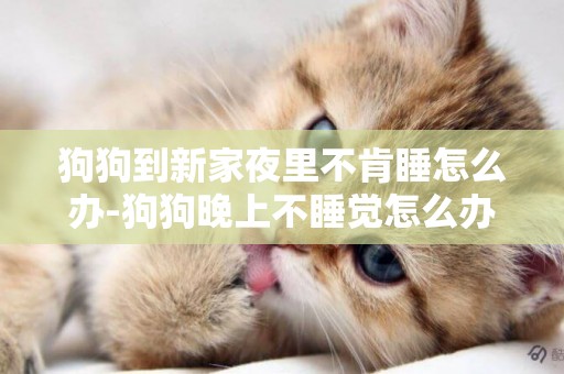 狗狗到新家夜里不肯睡怎么辦-狗狗晚上不睡覺怎么辦？