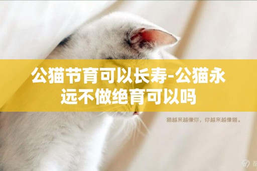 公貓節育可以長壽-公貓永遠不做絕育可以嗎