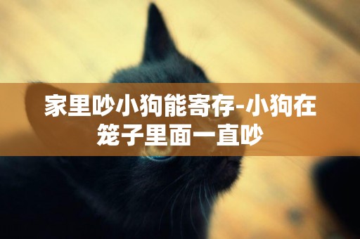 家里吵小狗能寄存-小狗在籠子里面一直吵