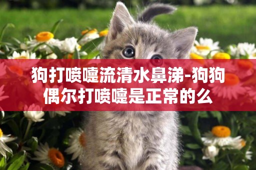 狗打噴嚏流清水鼻涕-狗狗偶爾打噴嚏是正常的么