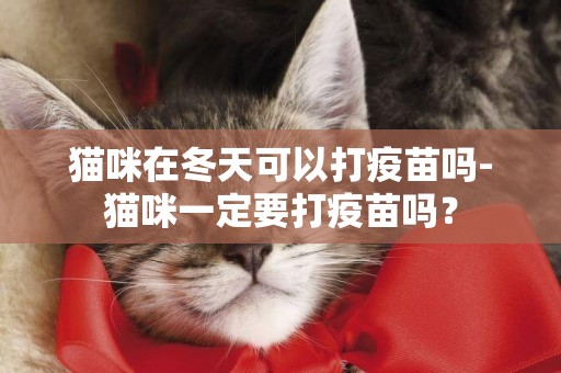 貓咪在冬天可以打疫苗嗎-貓咪一定要打疫苗嗎？