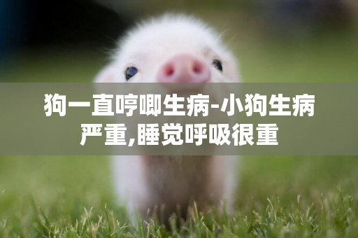 狗一直哼唧生病-小狗生病嚴重,睡覺呼吸很重
