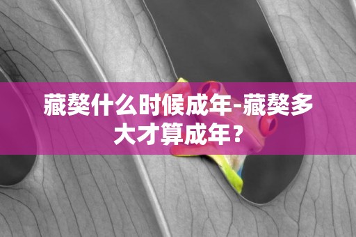藏獒什么時候成年-藏獒多大才算成年？
