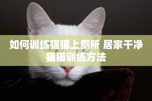 如何訓練貓貓上廁所 居家干凈貓貓訓練方法