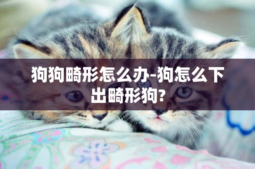 狗狗畸形怎么辦-狗怎么下出畸形狗?