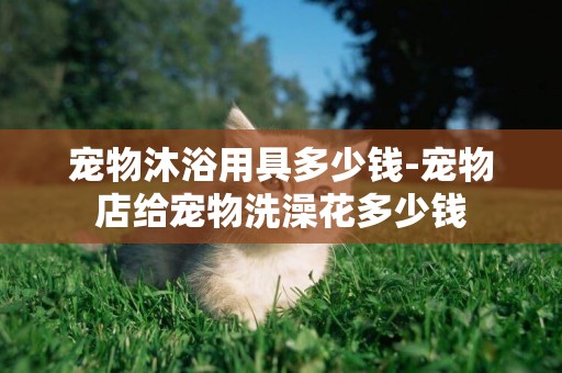 寵物沐浴用具多少錢-寵物店給寵物洗澡花多少錢