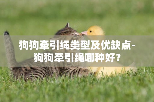 狗狗牽引繩類型及優缺點-狗狗牽引繩哪種好？