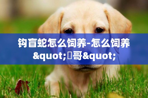 鉤盲蛇怎么飼養-怎么飼養"鷯哥"