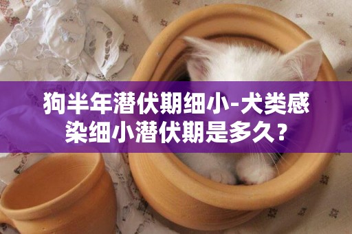 狗半年潛伏期細小-犬類感染細小潛伏期是多久？
