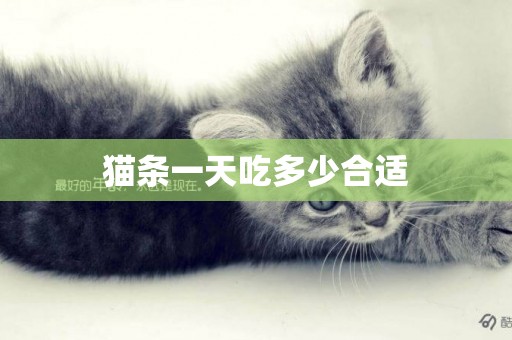 貓條一天吃多少合適
