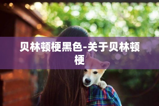 貝林頓梗黑色-關于貝林頓梗