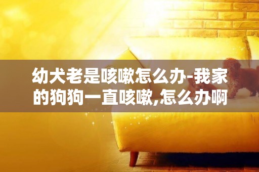 幼犬老是咳嗽怎么辦-我家的狗狗一直咳嗽,怎么辦啊