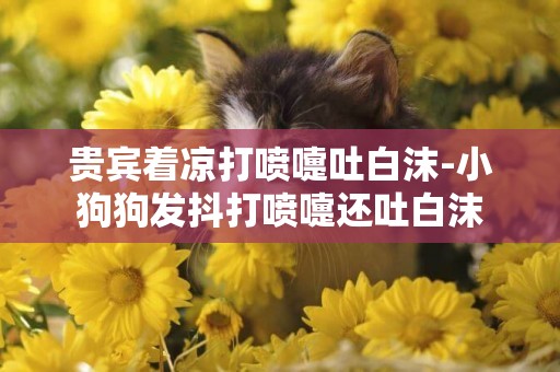 貴賓著涼打噴嚏吐白沫-小狗狗發抖打噴嚏還吐白沫