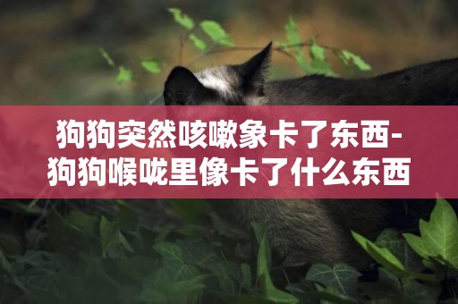 狗狗突然咳嗽象卡了東西-狗狗喉嚨里像卡了什么東西