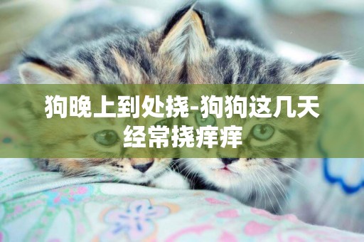 狗晚上到處撓-狗狗這幾天經常撓癢癢