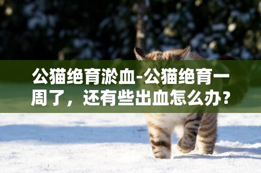 公貓絕育淤血-公貓絕育一周了，還有些出血怎么辦？