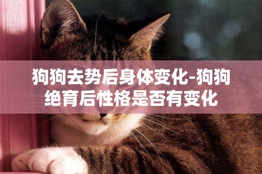 狗狗去勢后身體變化-狗狗絕育后性格是否有變化