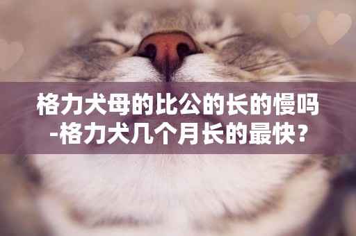 格力犬母的比公的長的慢嗎-格力犬幾個月長的最快？