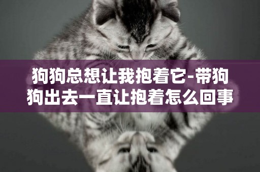 狗狗總想讓我抱著它-帶狗狗出去一直讓抱著怎么回事
