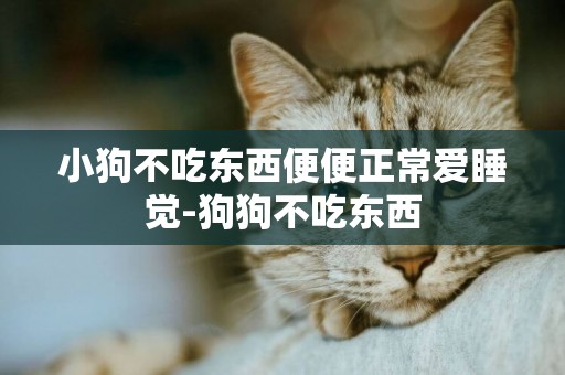 小狗不吃東西便便正常愛睡覺-狗狗不吃東西