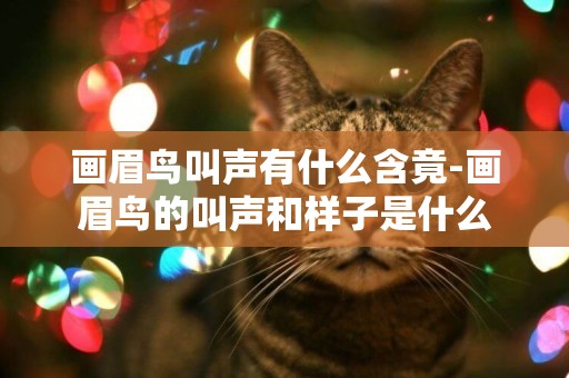 畫眉鳥叫聲有什么含竟-畫眉鳥的叫聲和樣子是什么