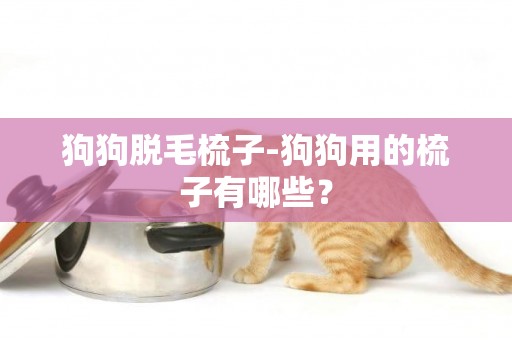 狗狗脫毛梳子-狗狗用的梳子有哪些？
