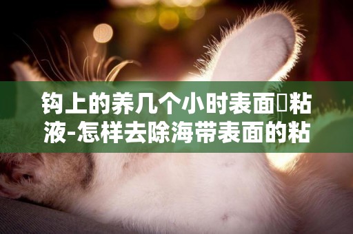鉤上的養幾個小時表面沒粘液-怎樣去除海帶表面的粘液