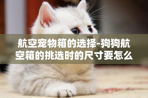 航空寵物箱的選擇-狗狗航空箱的挑選時的尺寸要怎么選?