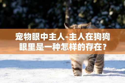 寵物眼中主人-主人在狗狗眼里是一種怎樣的存在？