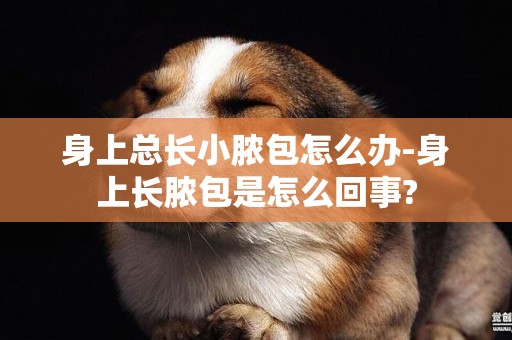 身上總長小膿包怎么辦-身上長膿包是怎么回事?