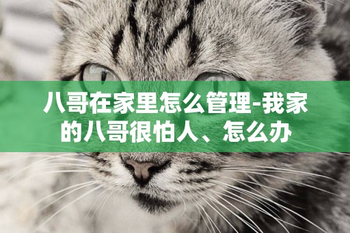 八哥在家里怎么管理-我家的八哥很怕人、怎么辦