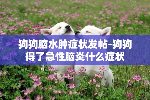 狗狗腦水腫癥狀發帖-狗狗得了急性腦炎什么癥狀