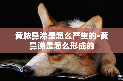 黃膿鼻涕是怎么產生的-黃鼻涕是怎么形成的