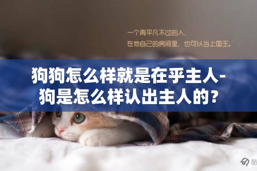 狗狗怎么樣就是在乎主人-狗是怎么樣認出主人的？