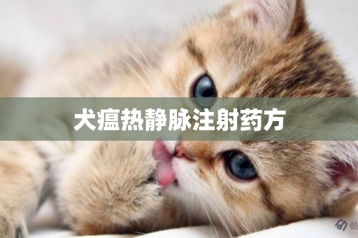 犬瘟熱靜脈注射藥方