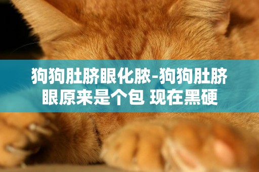 狗狗肚臍眼化膿-狗狗肚臍眼原來是個包 現在黑硬