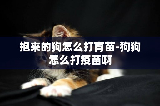 抱來的狗怎么打育苗-狗狗怎么打疫苗啊