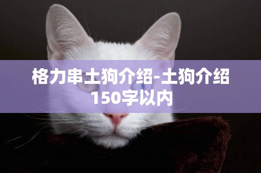 格力串土狗介紹-土狗介紹150字以內