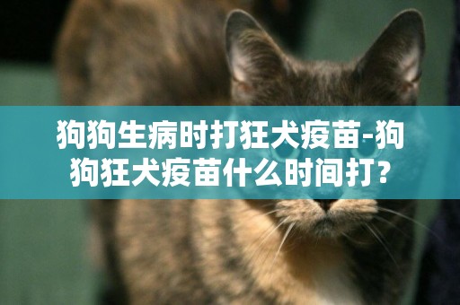 狗狗生病時打狂犬疫苗-狗狗狂犬疫苗什么時間打？