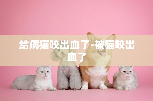 給病貓咬出血了-被貓咬出血了