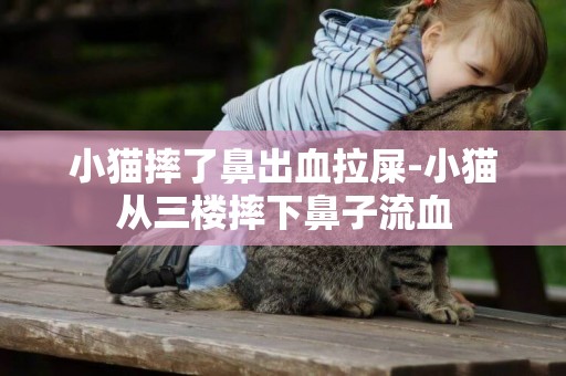小貓摔了鼻出血拉屎-小貓從三樓摔下鼻子流血