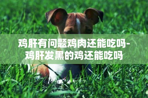 雞肝有問題雞肉還能吃嗎-雞肝發黑的雞還能吃嗎